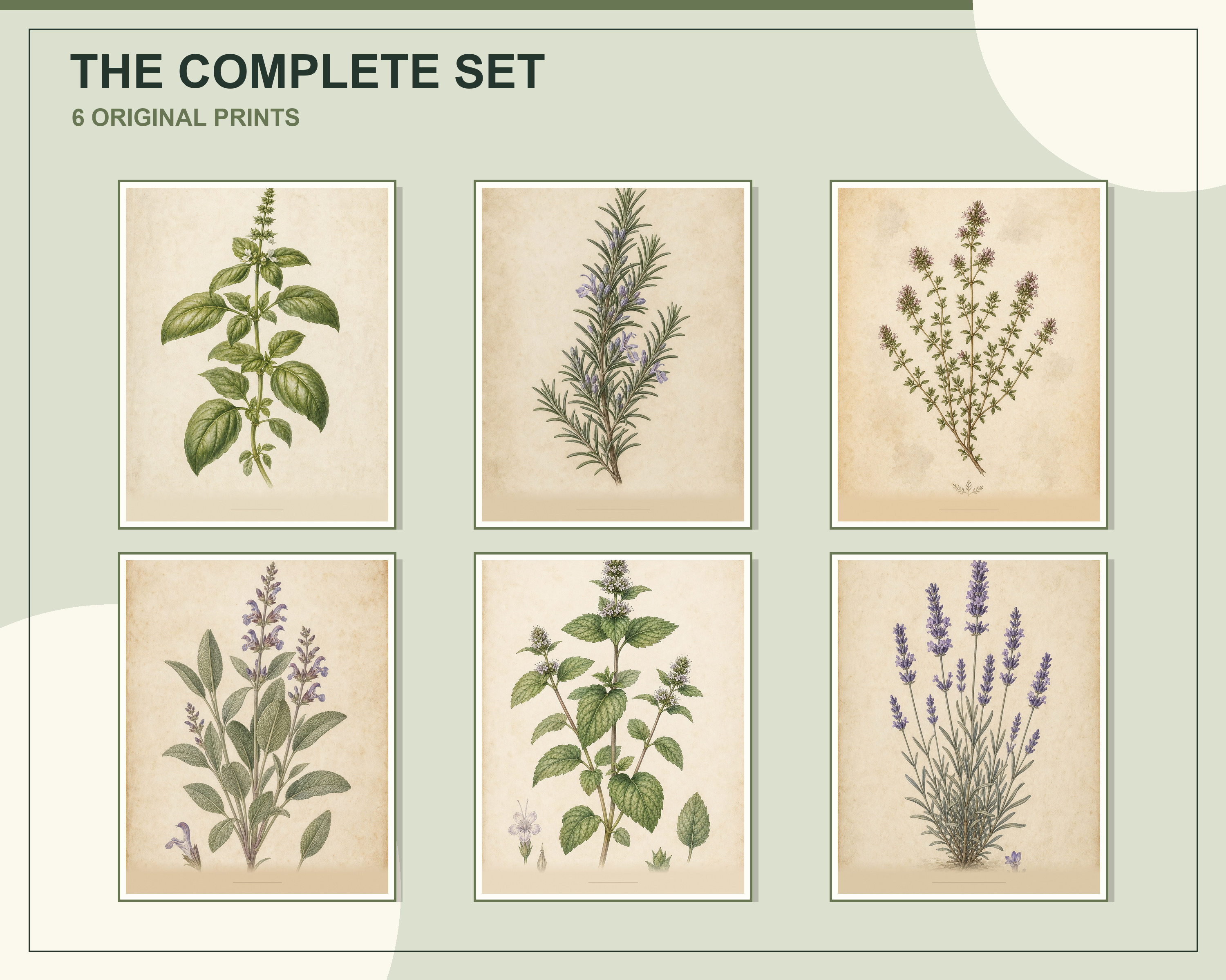 Three framed vintage herb prints displayed above neutral seating in a bright room