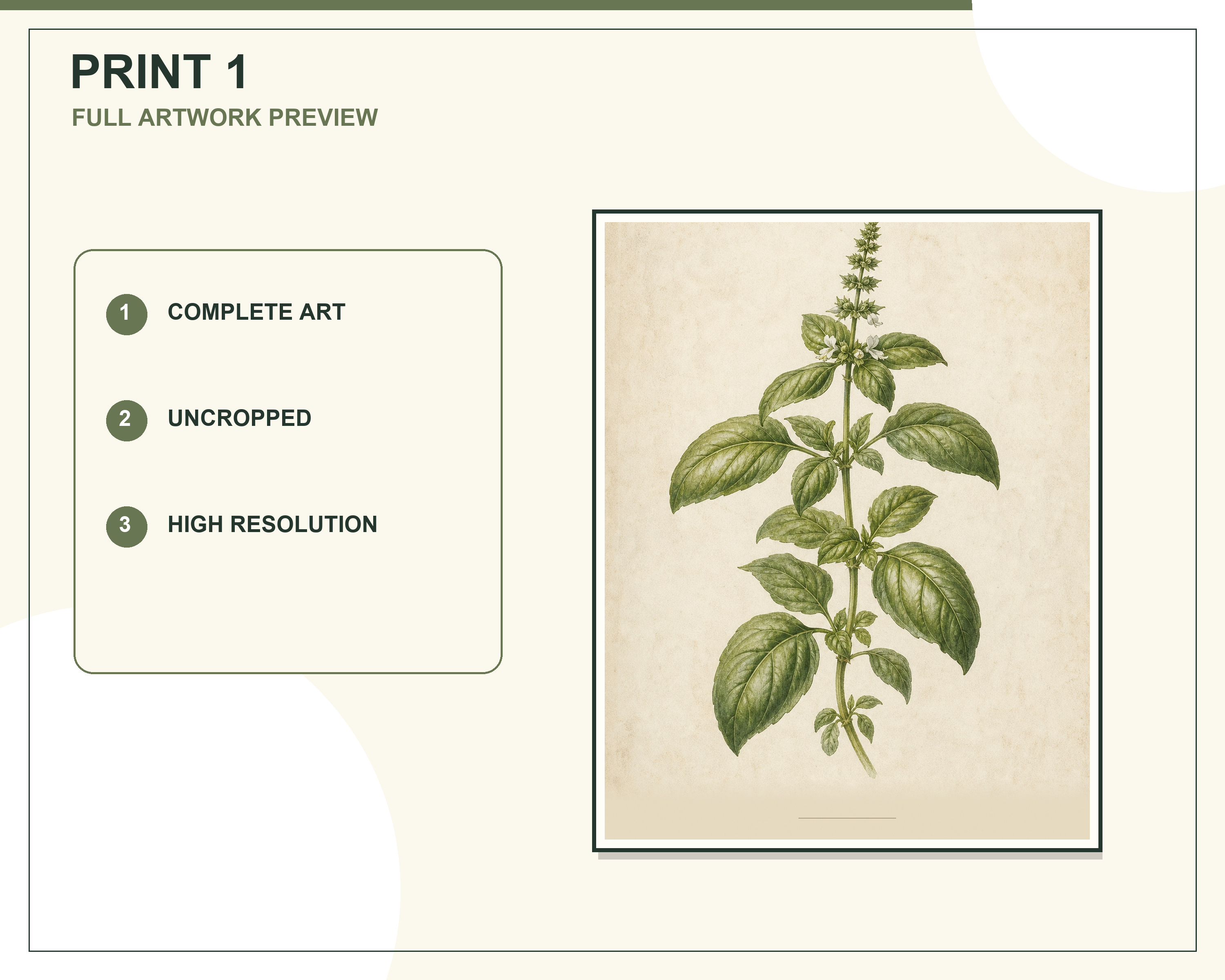Complete grid of basil, rosemary, thyme, sage, mint, and lavender printable art