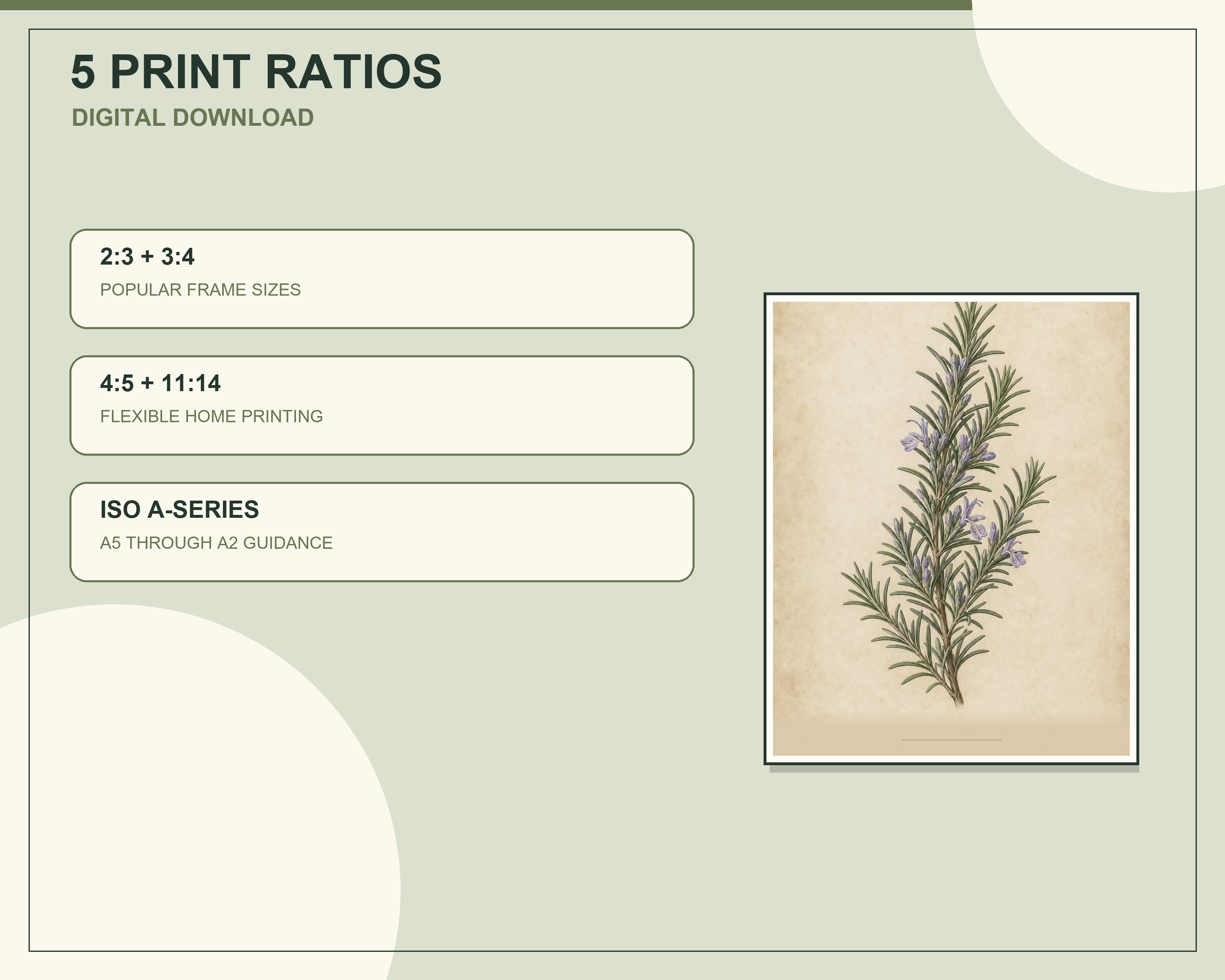 Individual rosemary vintage botanical printable included in the six-piece set