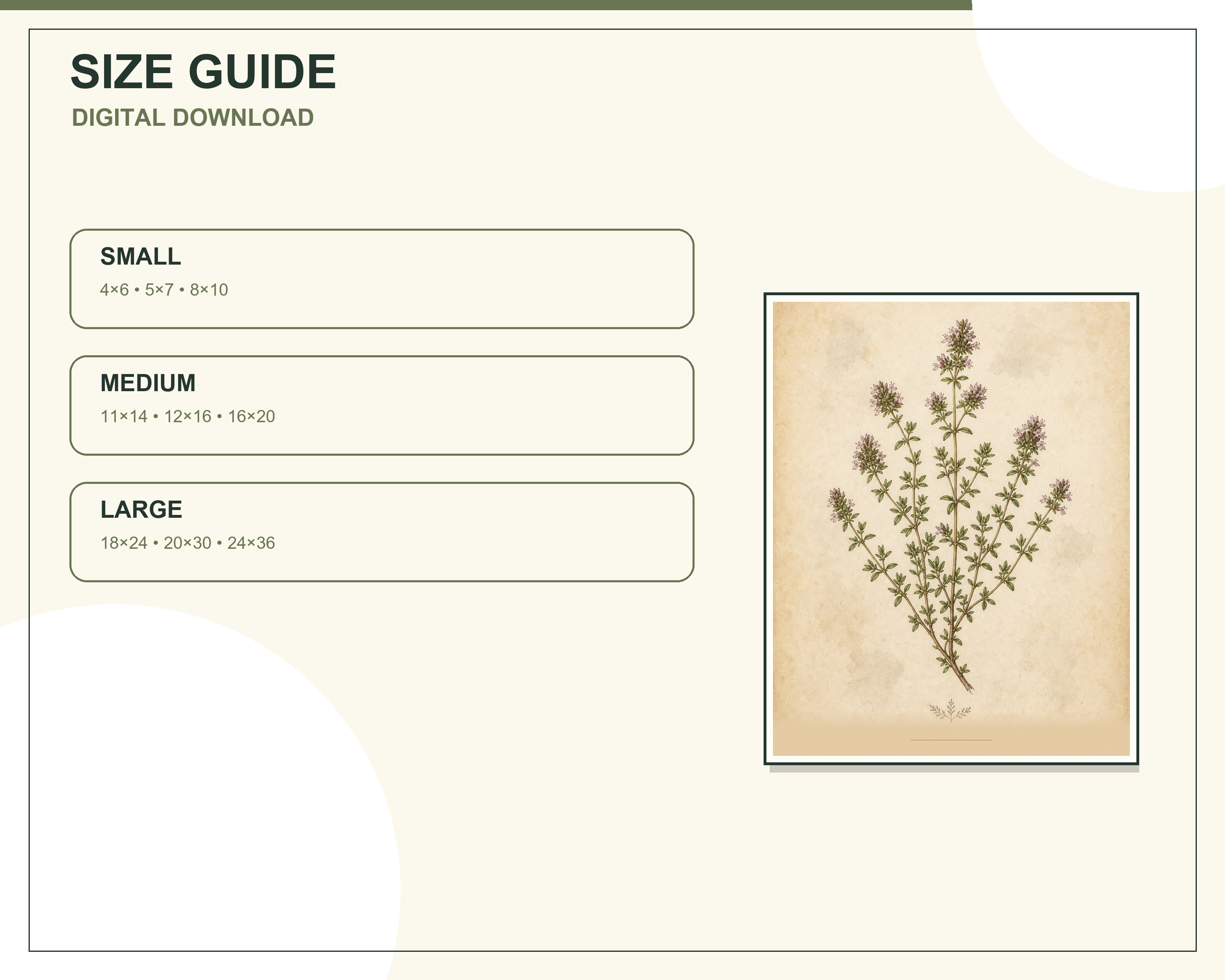 Individual thyme vintage botanical printable included in the six-piece set