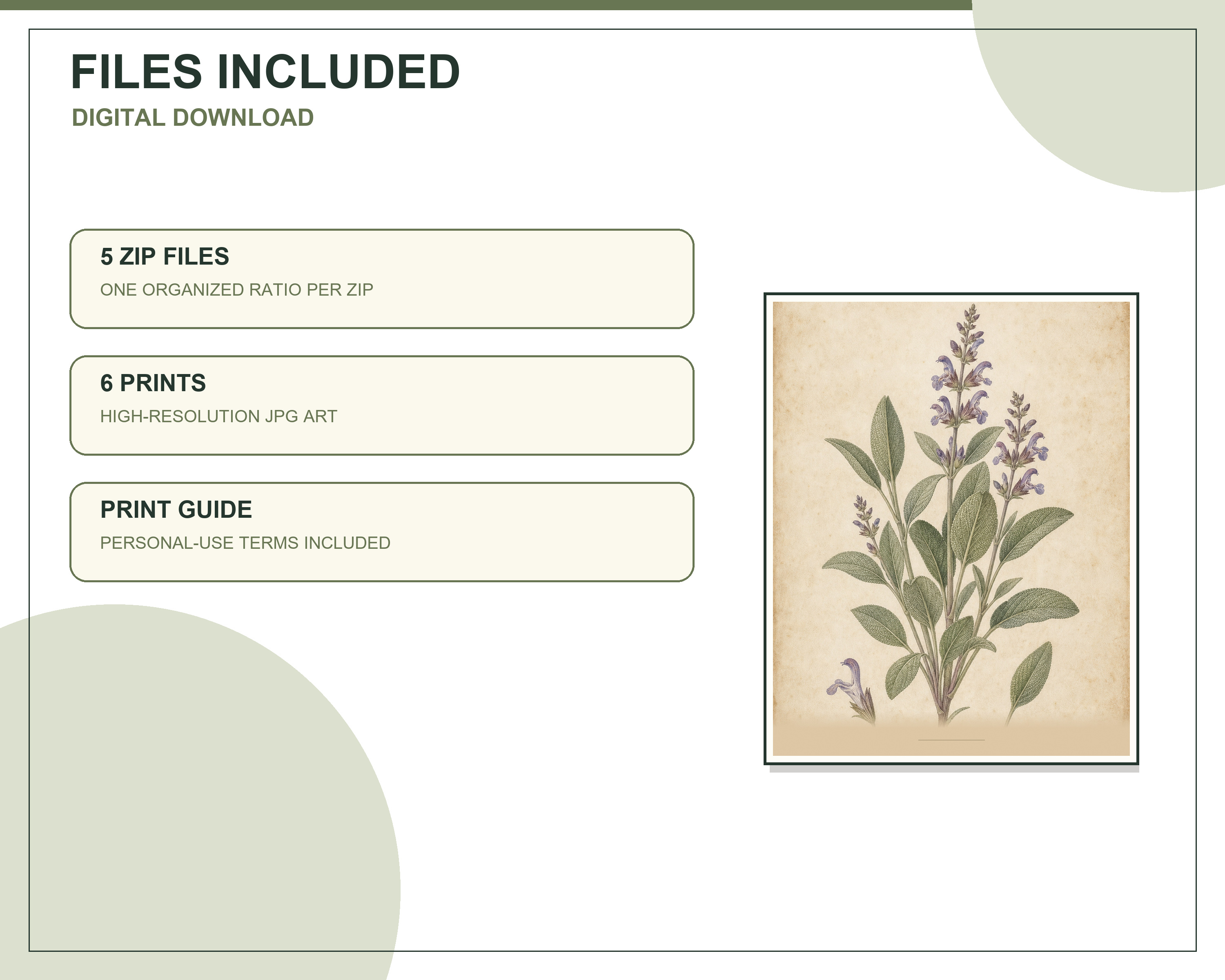 Individual sage vintage botanical printable included in the six-piece set