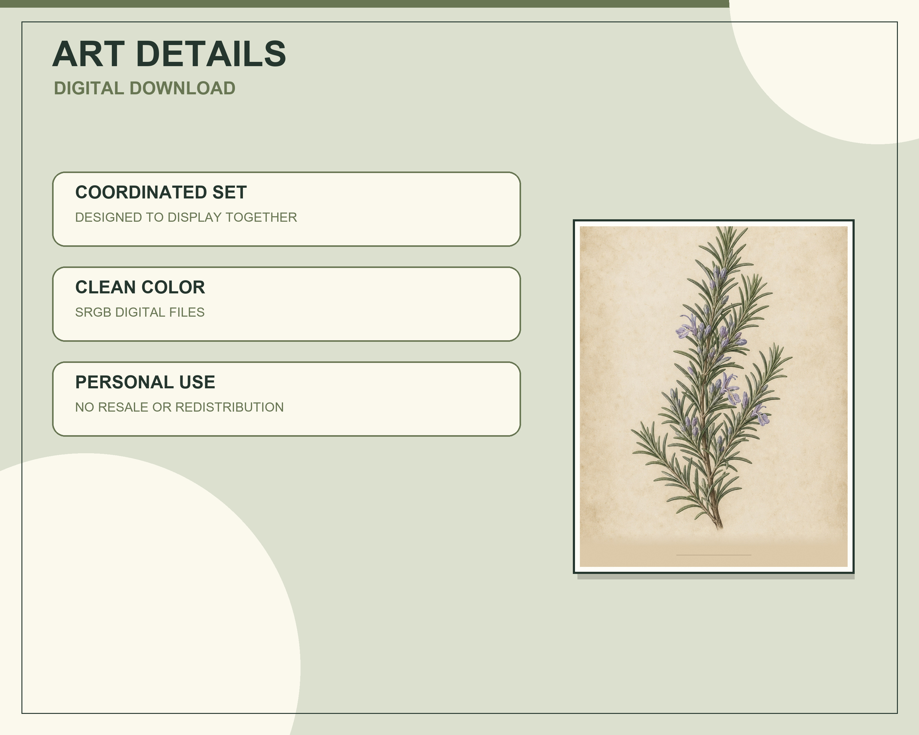 Individual lavender vintage botanical printable included in the six-piece set