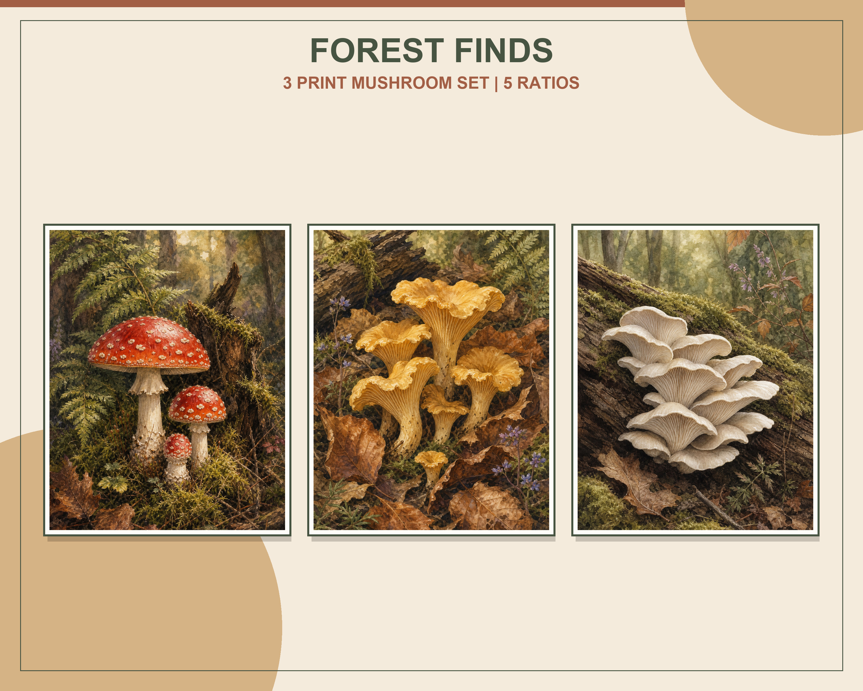 Cottagecore Mushroom Botanical Printable Set displayed in three natural oak frames in a bright organic modern living room